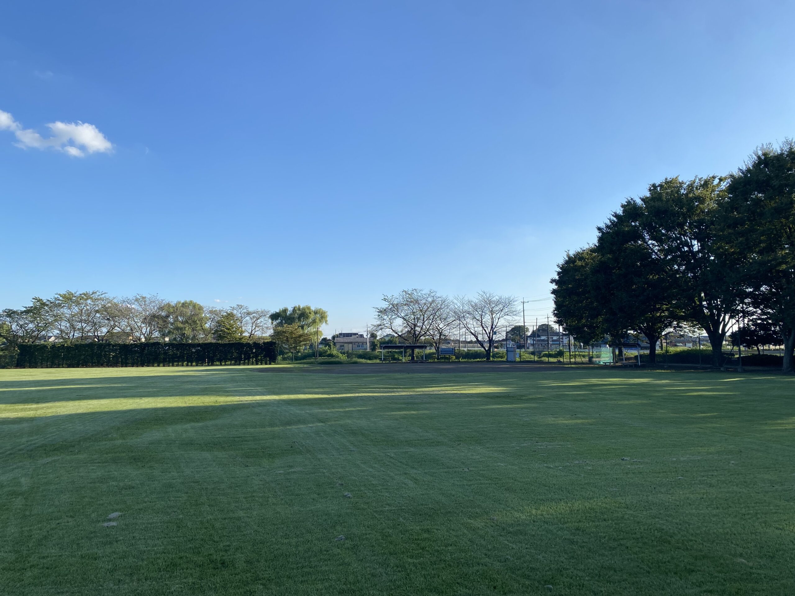 【公園】近藤沼公園（３）