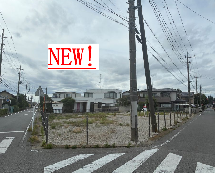 美園町11-4
